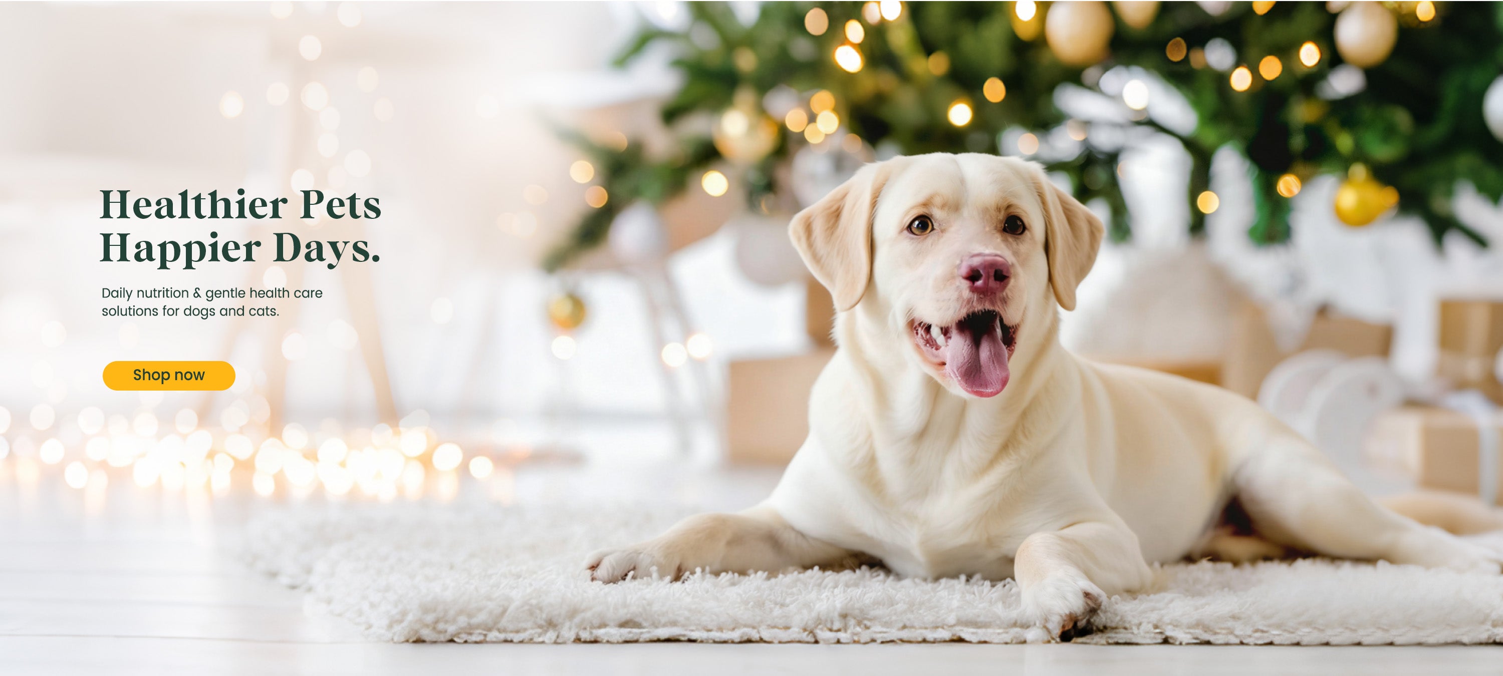 BuddyCheer supplements for dogs and cats