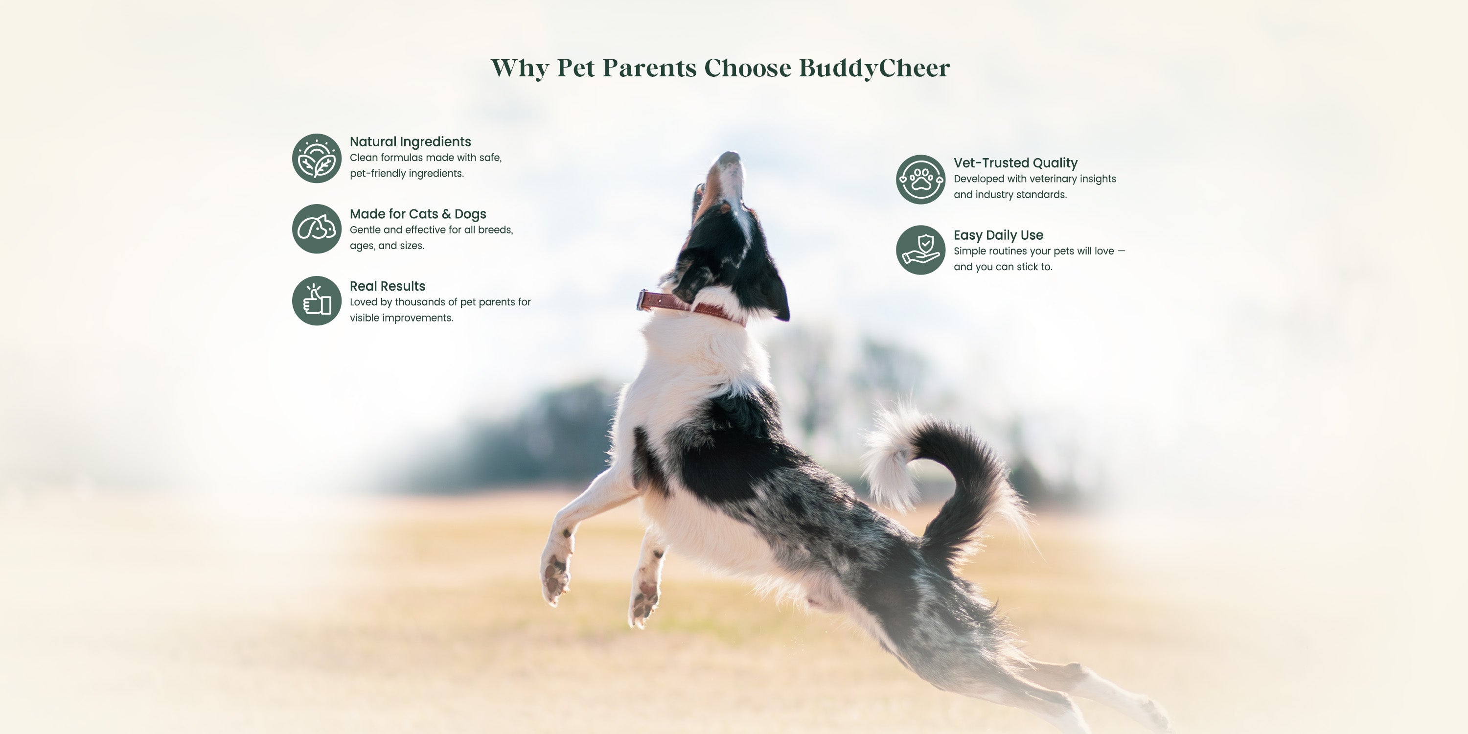 Dog supplements and cat supplements by BuddyCheer