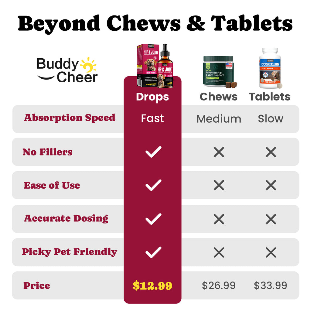 Dog Joint Support Liquid Drops Flexibility