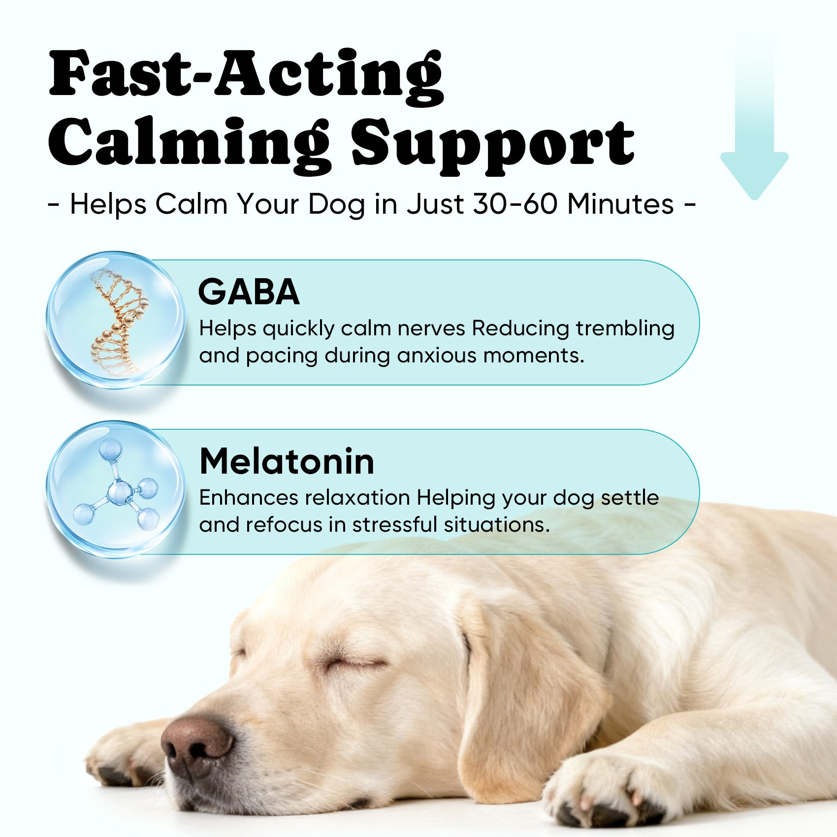 Calming Chews for Dogs – GABA & Melatonin for Fast-Acting Relief - 180 Ct