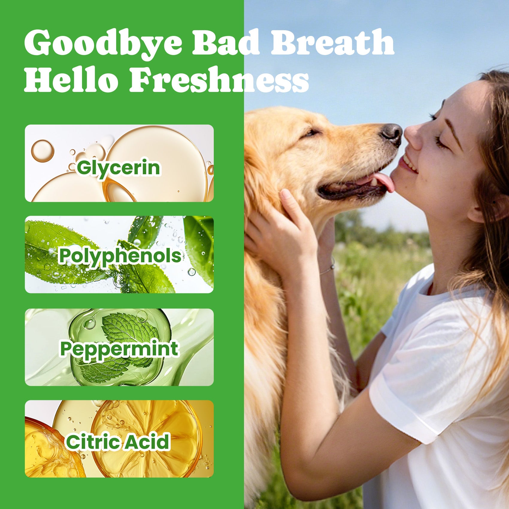 Dog Breath Freshener – Enzymatic Dog Dental Water Additive- 16oz