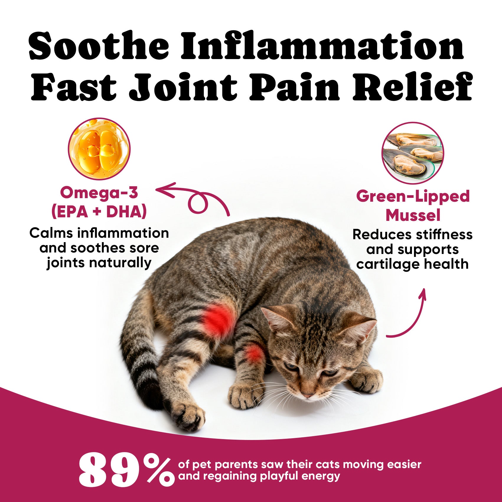 Cat Joint Supplement with Glucosamine Cat Joint Treats - 450 Ct