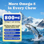 Salmon Fish Oil Chews Dogs Healthy Skin Coat