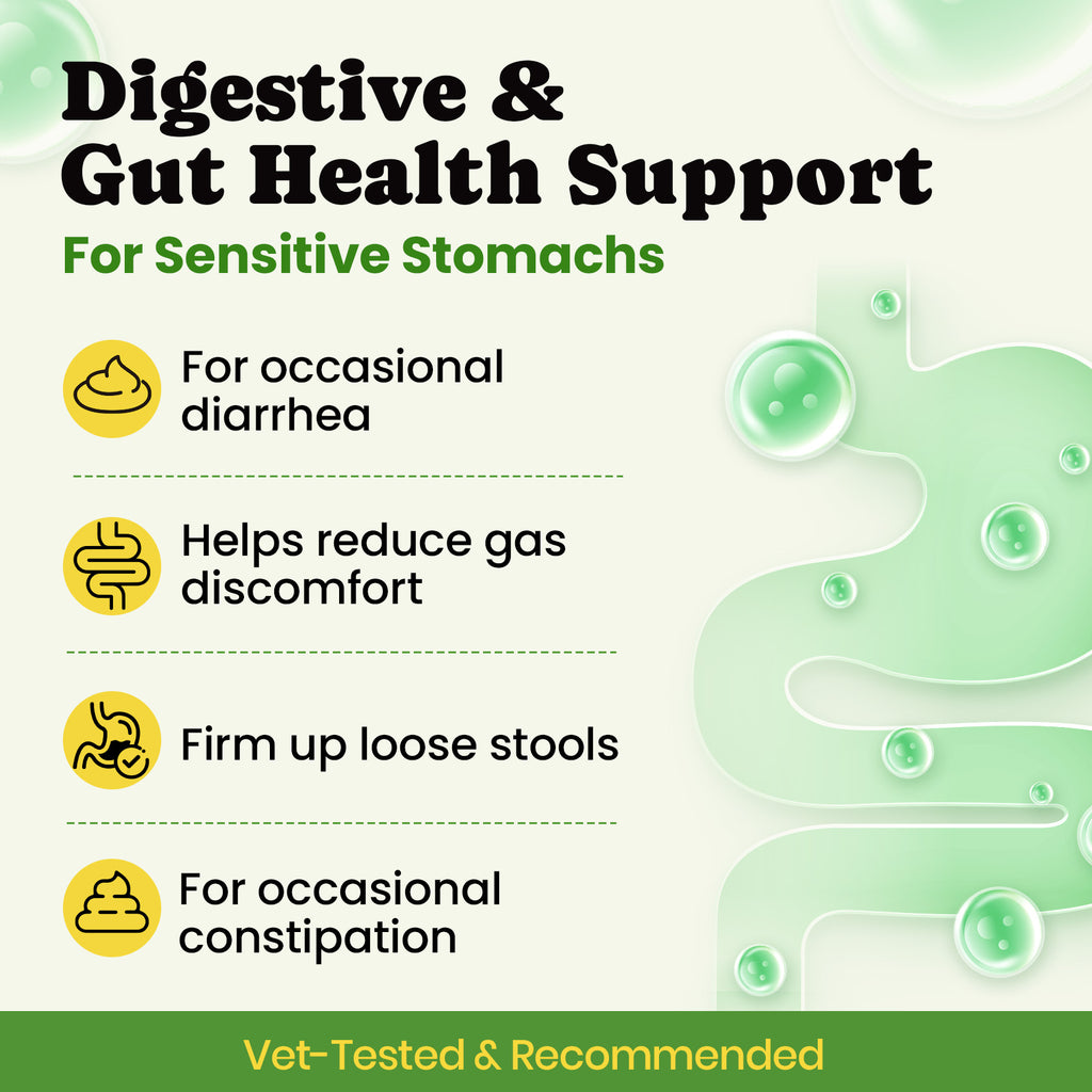 dog digestive health