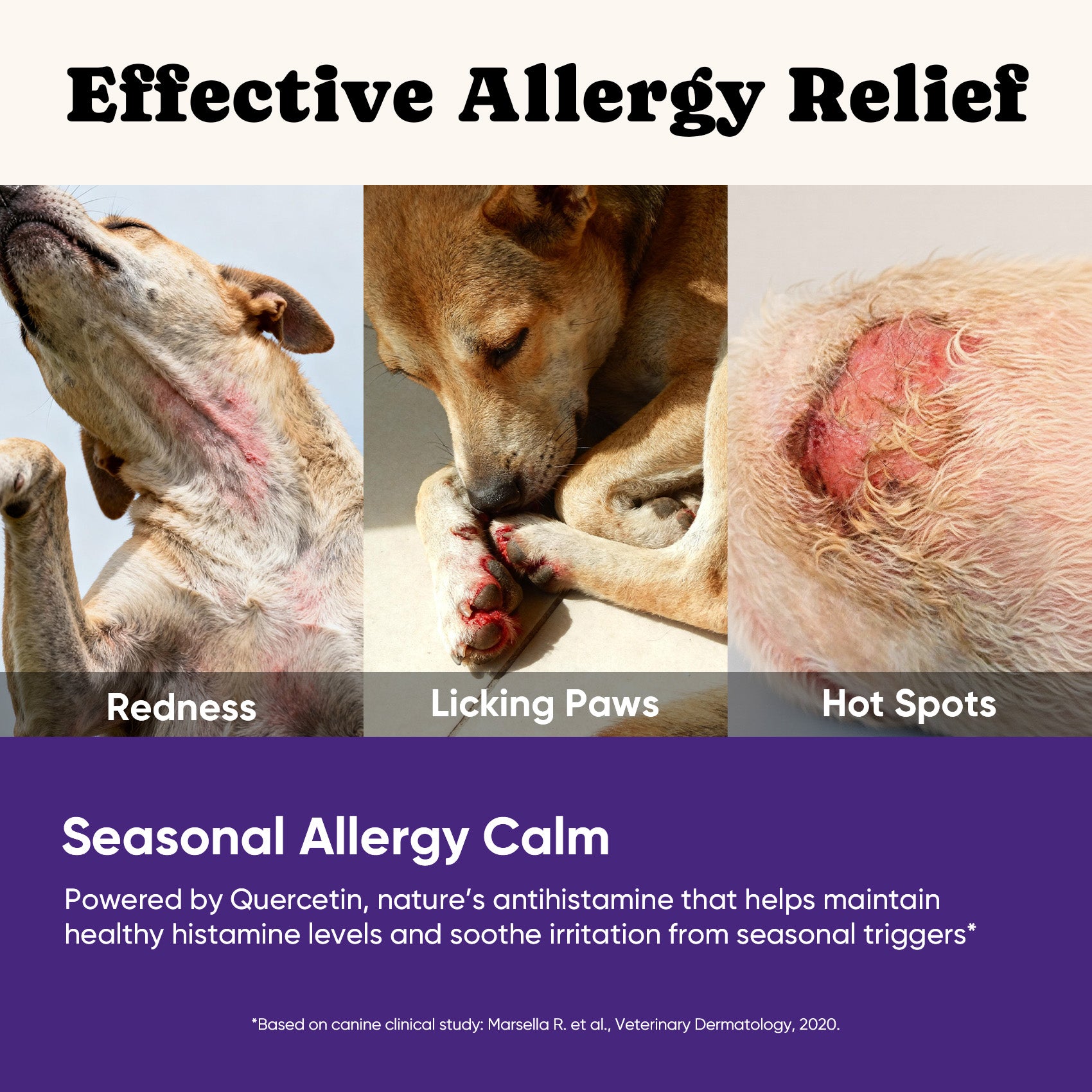 Dog Allergy Skin Relief Chews for Hotspot & Dry Skin, Itchy Relief - 180 Ct