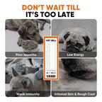 Joint Skin Gut Support Soft Chews Dogs