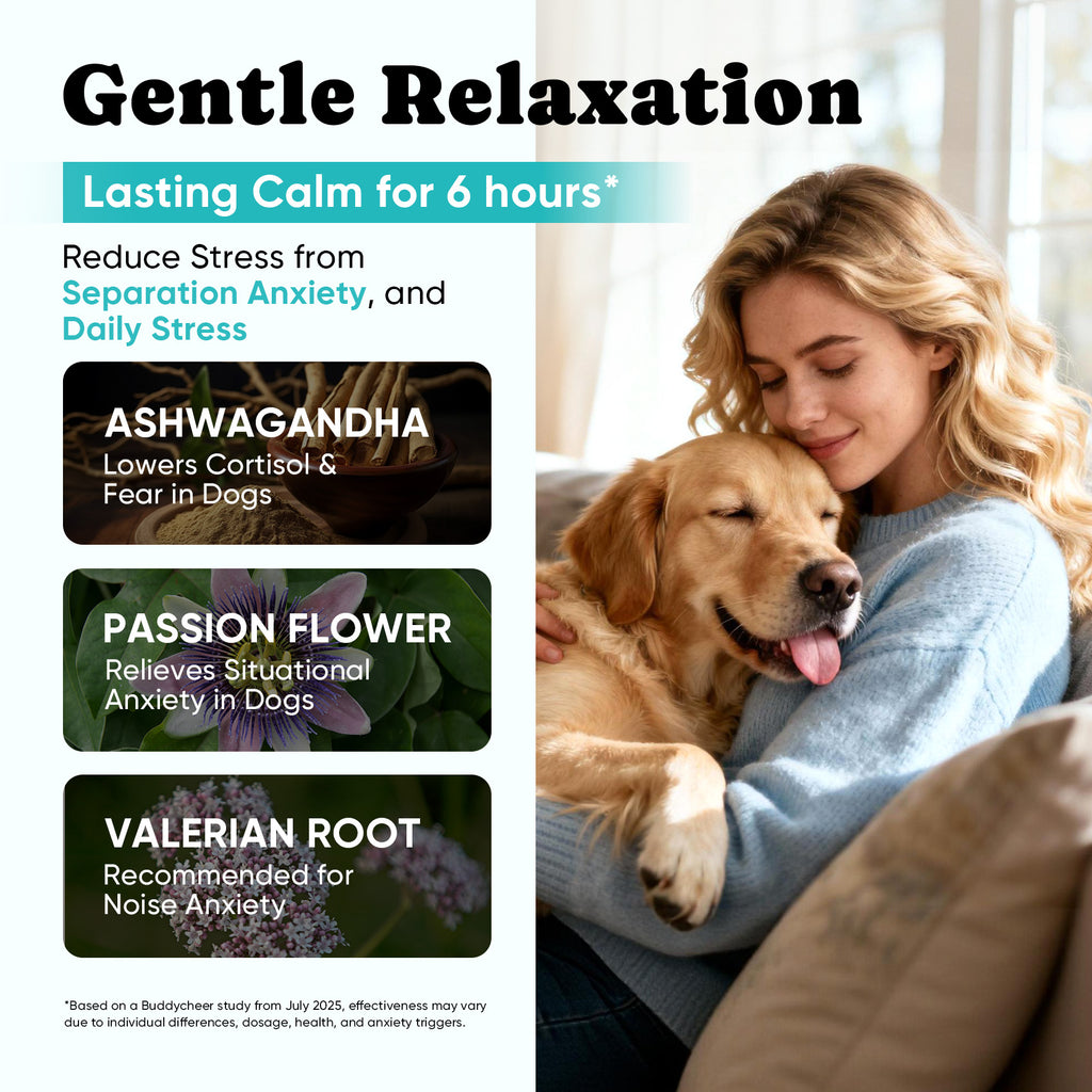 BuddyCheer Dog Calming Soft Chews 180 Ct