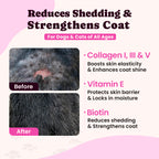 BuddyCheer Dog Cat Collagen Drops 4oz