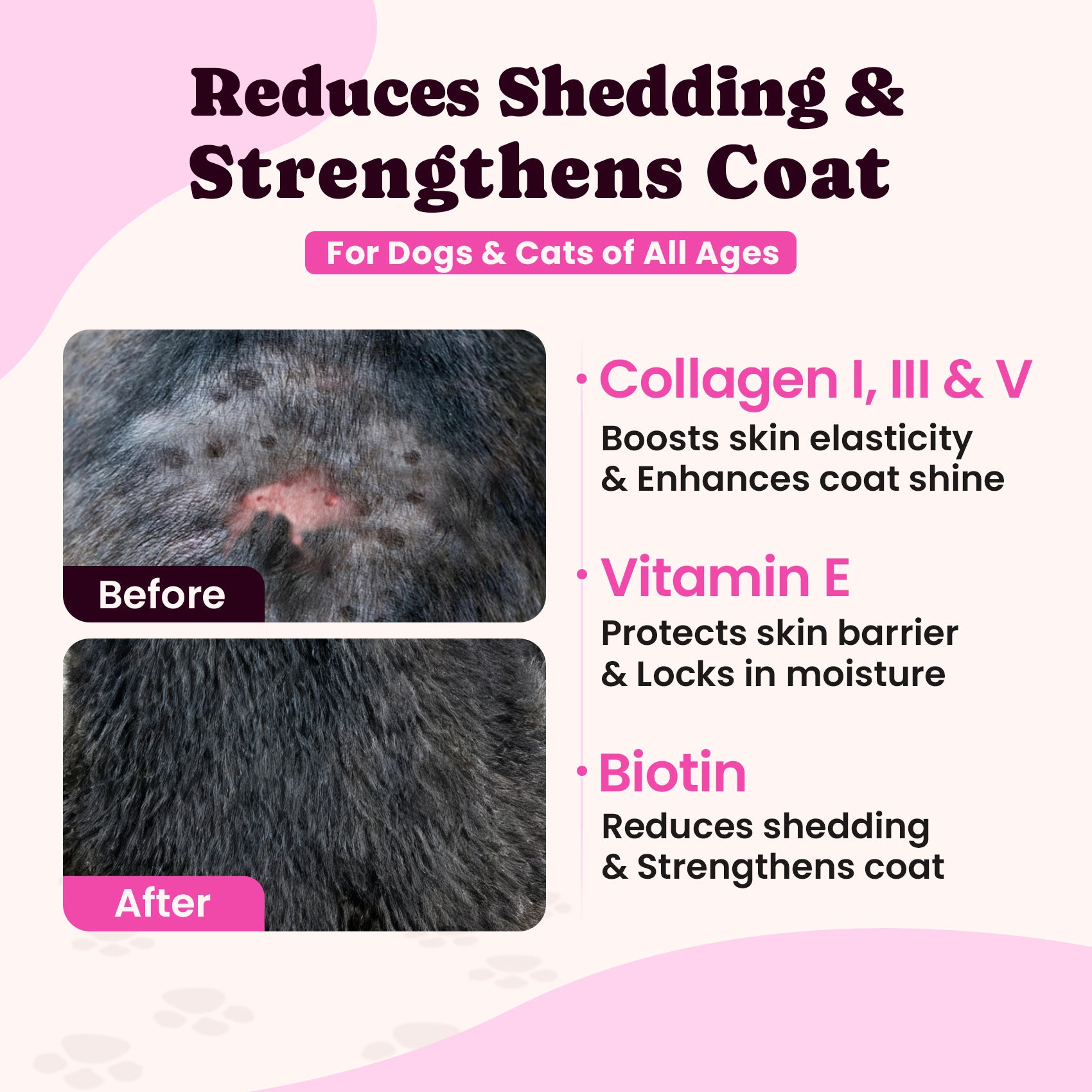 5 Types of Grass-Fed Collagen for Dogs & Cats – Fast Allergy & Itch Relief - 120ml