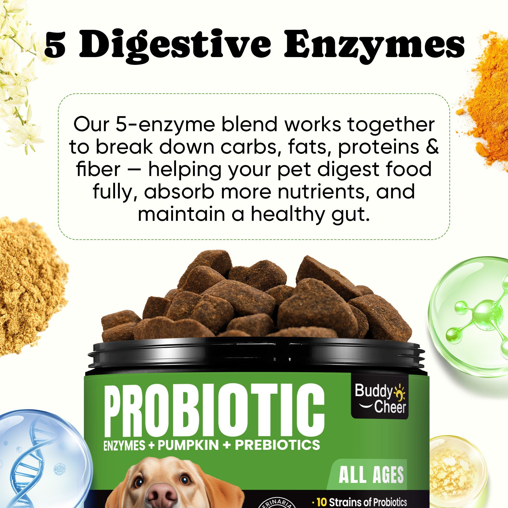 Dog Probiotics Chews with 5 Enzymes & 4 Prebiotics for Gut Health - 180 Ct