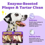 No-Rinse Dog Dental Care Wipes - 50 Count - Unflavored