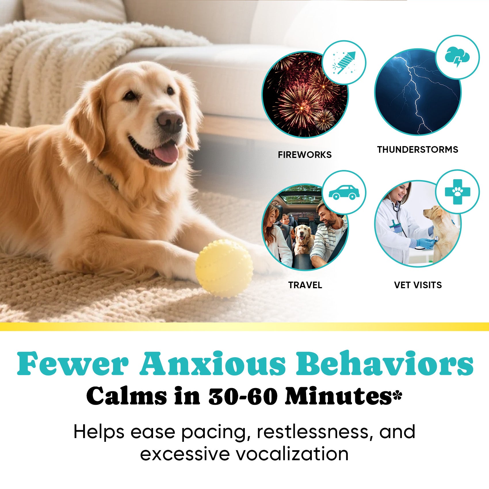 Emotional Balance Chews Dogs GABA Melatonin