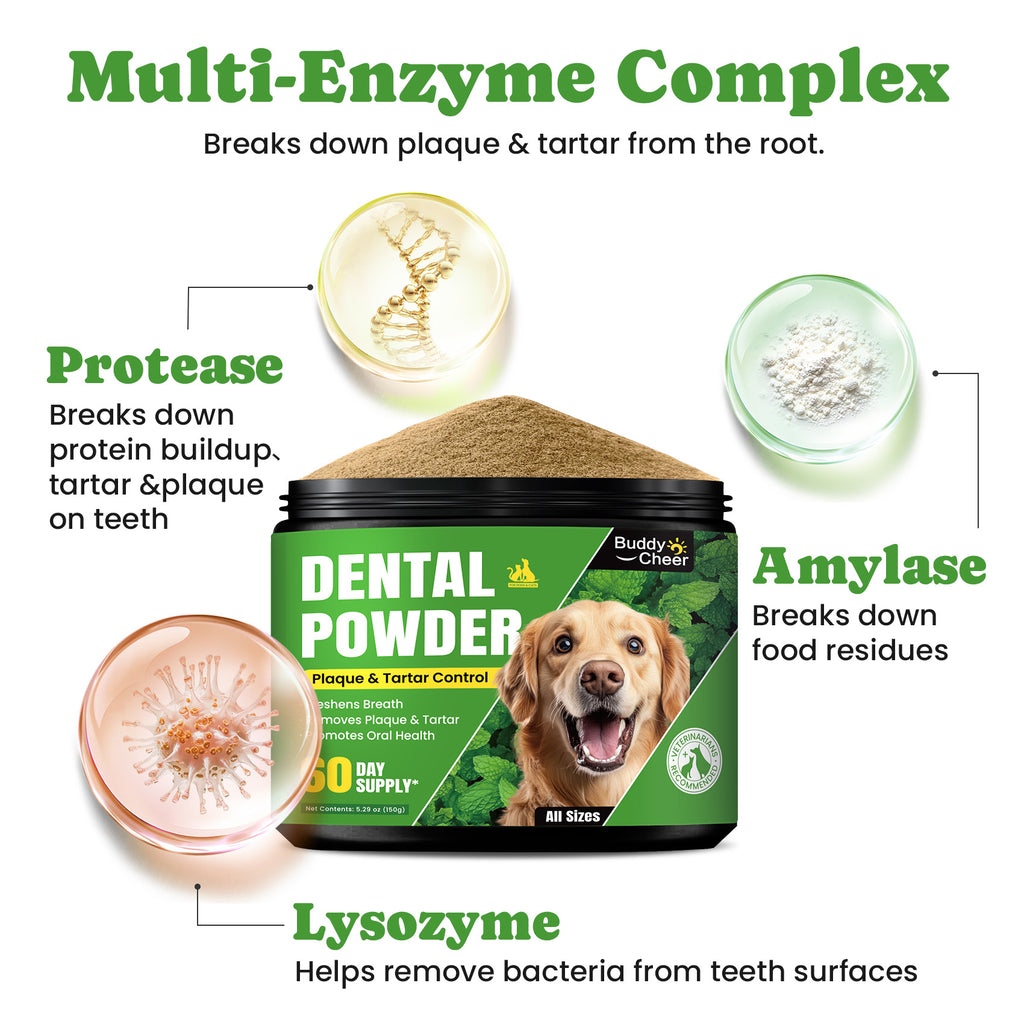 BuddyCheer Mint Dental Powder Daily Oral Care Dogs