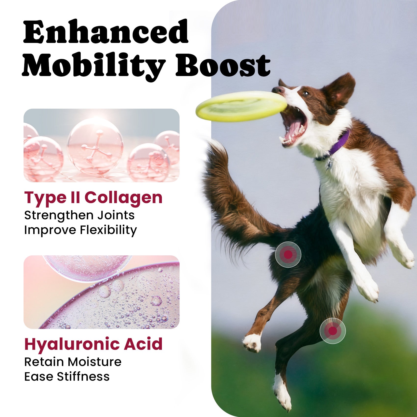 Glucosamine for Dogs Hip and Joint Supplement Chews - 180 Ct