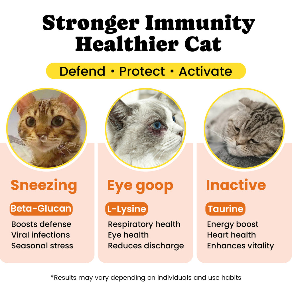 Cat Multivitamins Treats with L-Lysine & Taurine – 12 Vitamins & 5 Minerals - 450 Ct