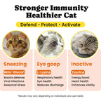 Cat Multivitamins Treats with L-Lysine & Taurine – 12 Vitamins & 5 Minerals - 450 Ct