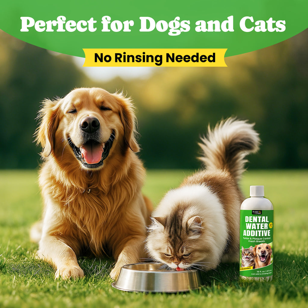 Alcohol-Free Pet Dental Care Fresh Breath Dogs Cats