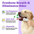 No-Rinse Dog Dental Care Wipes - 50 Count - Unflavored