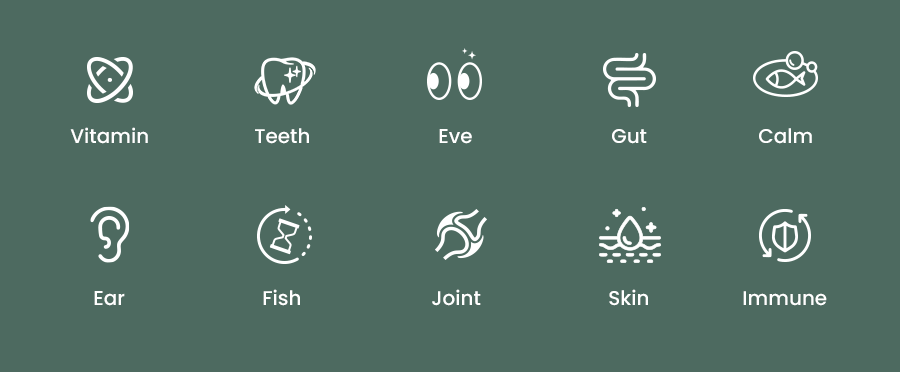 daily pet supplement routine