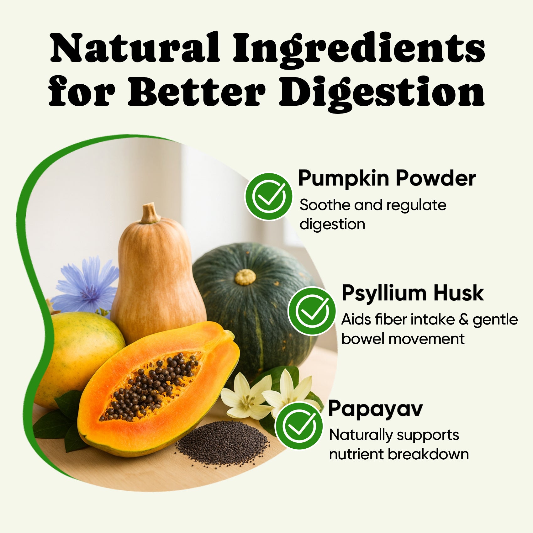 Dog Probiotics Powder with 11 Strains, 4 Prebiotics & 5 Enzymes - 60 Single Packets