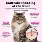Hairball Treatment for Cats with Coconut & Fish Oils for Smooth Passage - 450 Ct