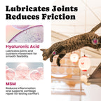 MSM Joint Support for Cats