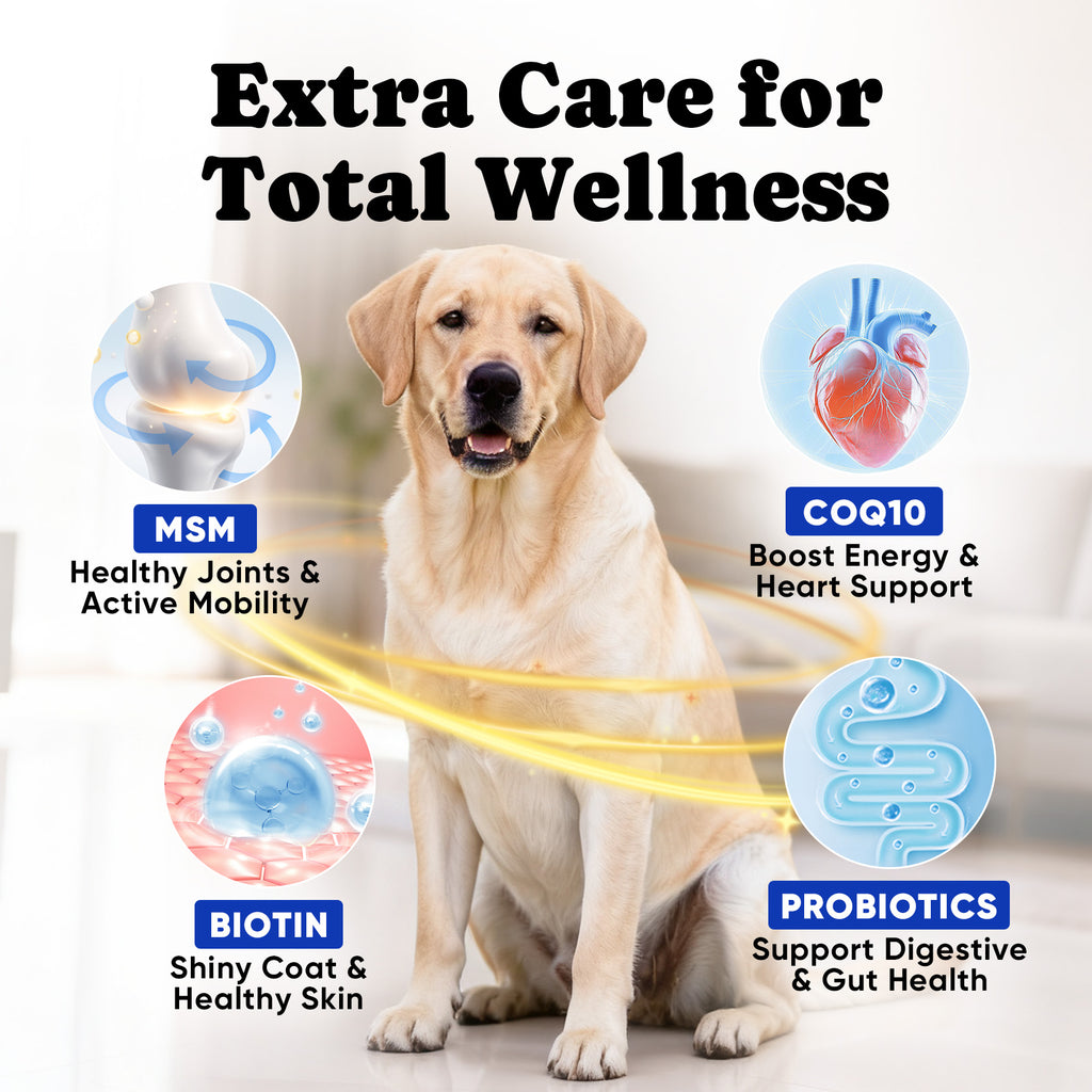 Natural Fish Oil Soft Chews Dogs Skin Coat