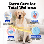 Natural Fish Oil Soft Chews Dogs Skin Coat