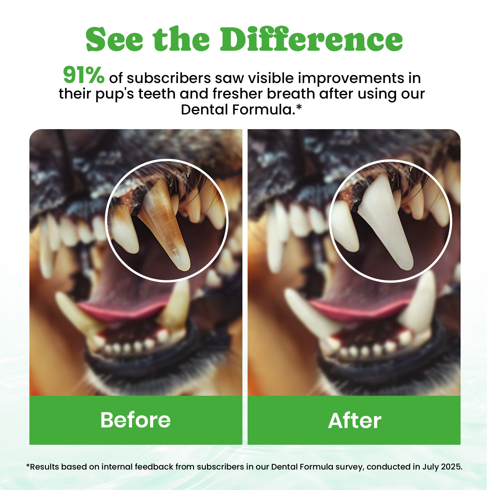 Easy Daily Water Additive Pet Oral Hygiene