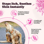 Pet Skin Coat Joint Health Collagen Drops