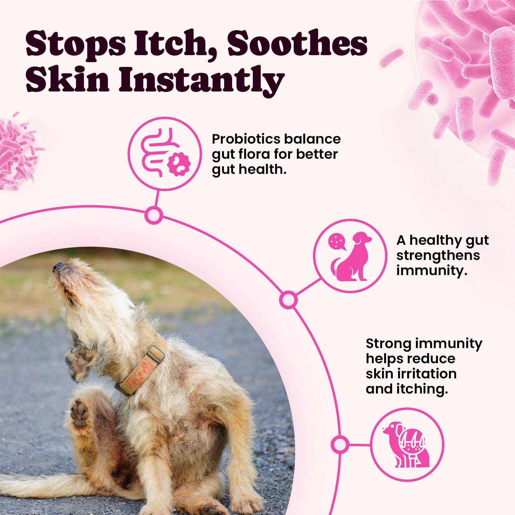 Pet Skin Coat Joint Health Collagen Drops