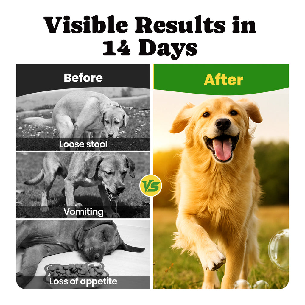 Dog Probiotics Chews with 5 Enzymes & 4 Prebiotics for Gut Health - 180 Ct