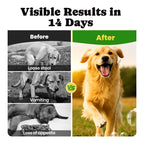 Dog Probiotics Chews with 5 Enzymes & 4 Prebiotics for Gut Health - 180 Ct