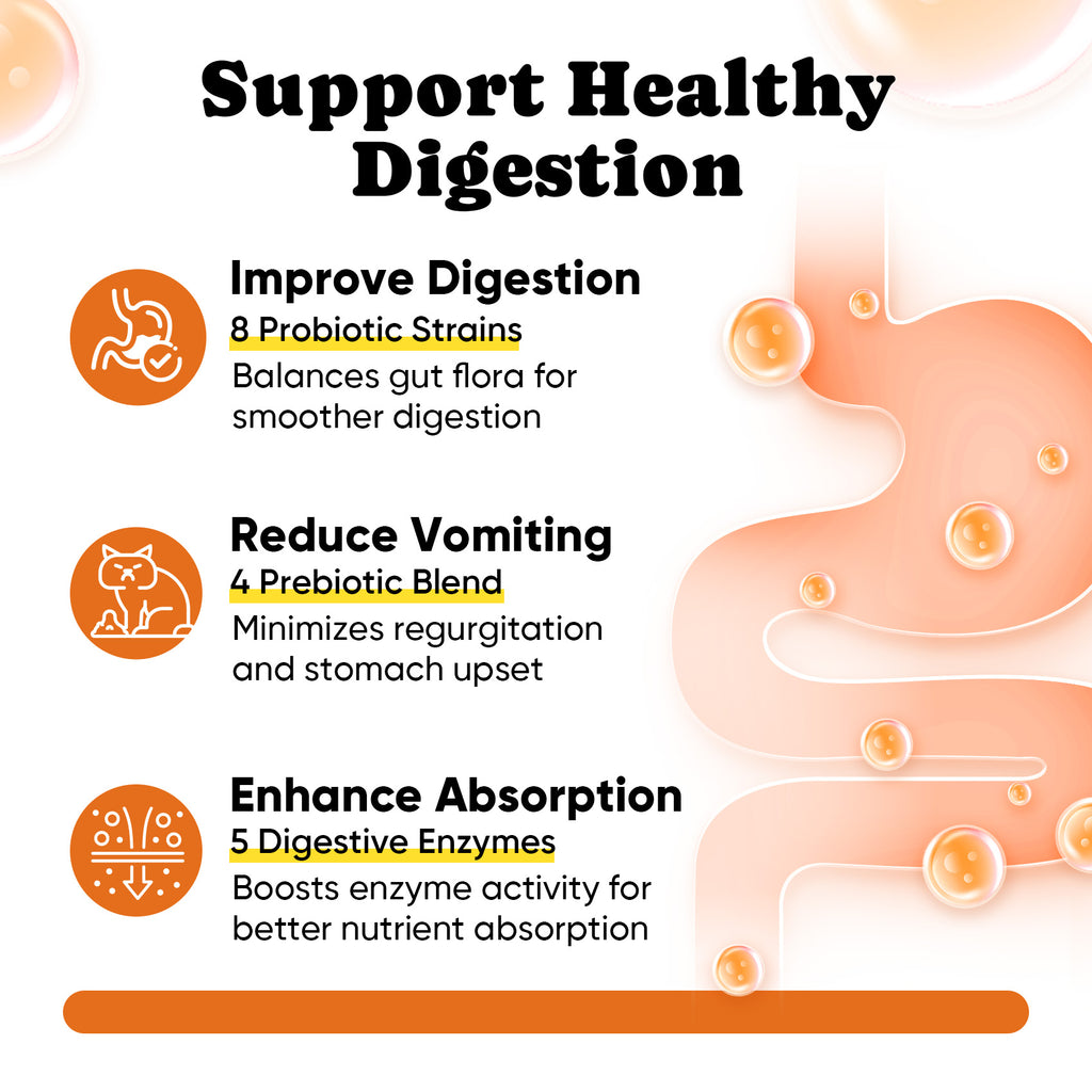 Cat Multivitamins Treats with L-Lysine & Taurine – 12 Vitamins & 5 Minerals - 450 Ct