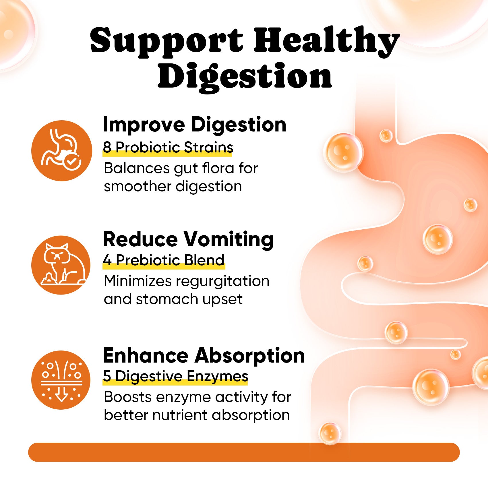 Cat Multivitamins Treats with L-Lysine & Taurine – 12 Vitamins & 5 Minerals - 450 Ct