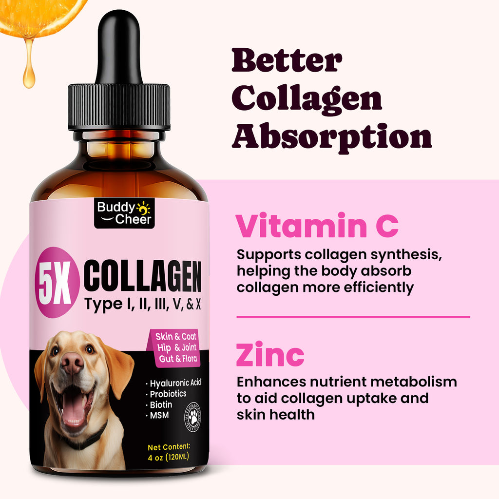 BuddyCheer Liquid Collagen Drops Dogs Cats