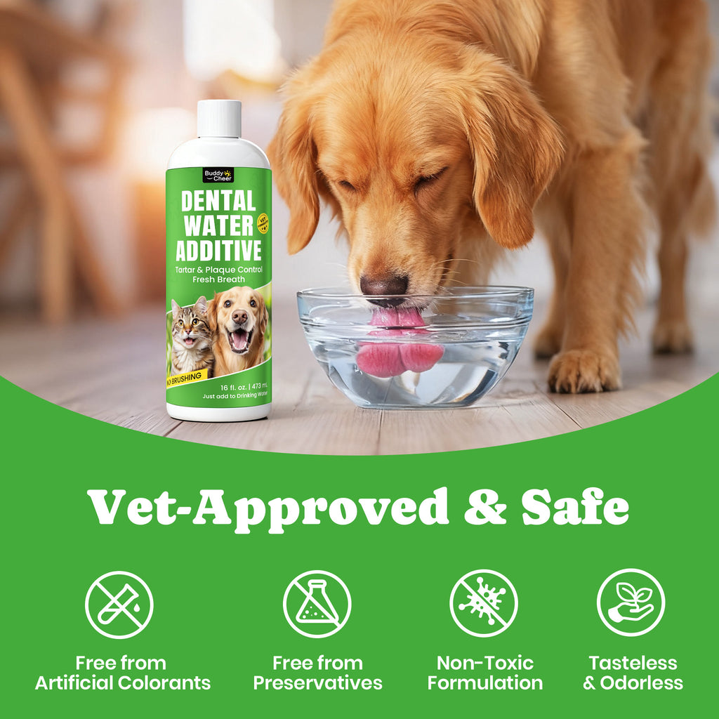 Dog Cat Plaque Tartar Breath Freshener BuddyCheer