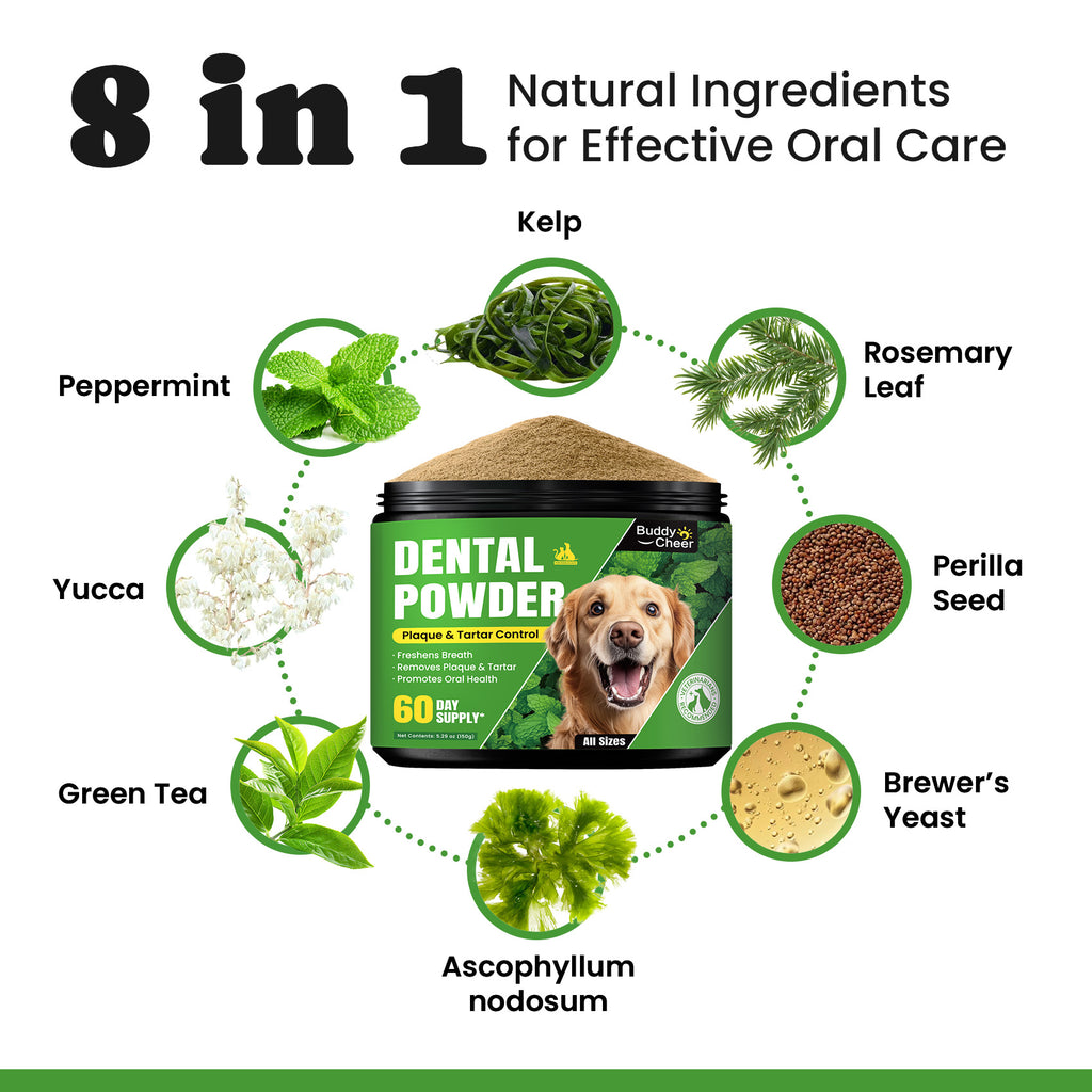 Dog Dental Care Powder Mint Plaque Breath Control