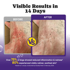 Daily Skin Immune Support Chews Dogs