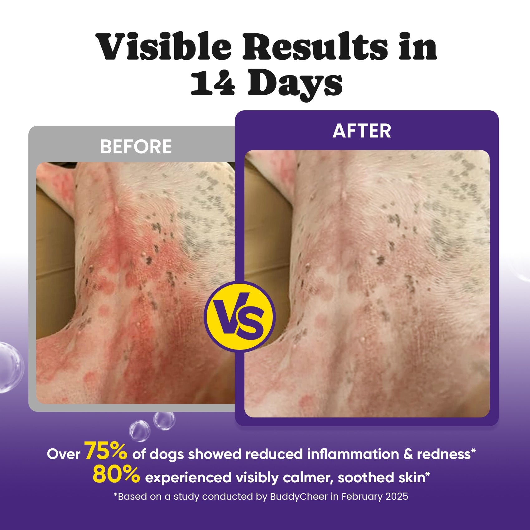 Daily Skin Immune Support Chews Dogs