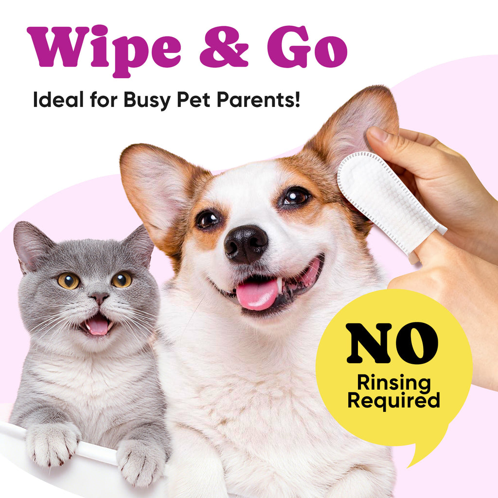 Aloe Coconut Oil Ear Wipes Dogs Cats BuddyCheer