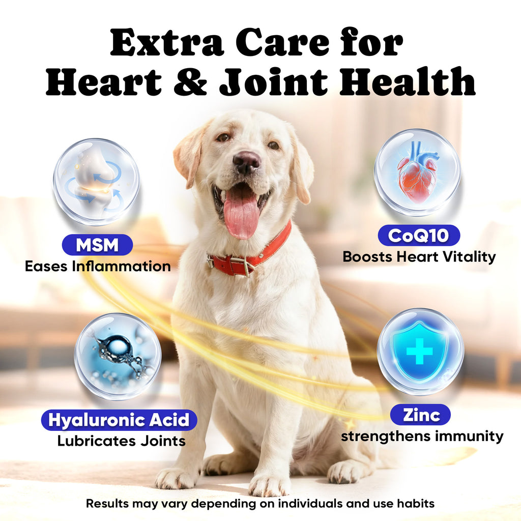 Cold Water Fish Oil Omega-3 Dogs Cats