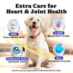 Cold Water Fish Oil Omega-3 Dogs Cats