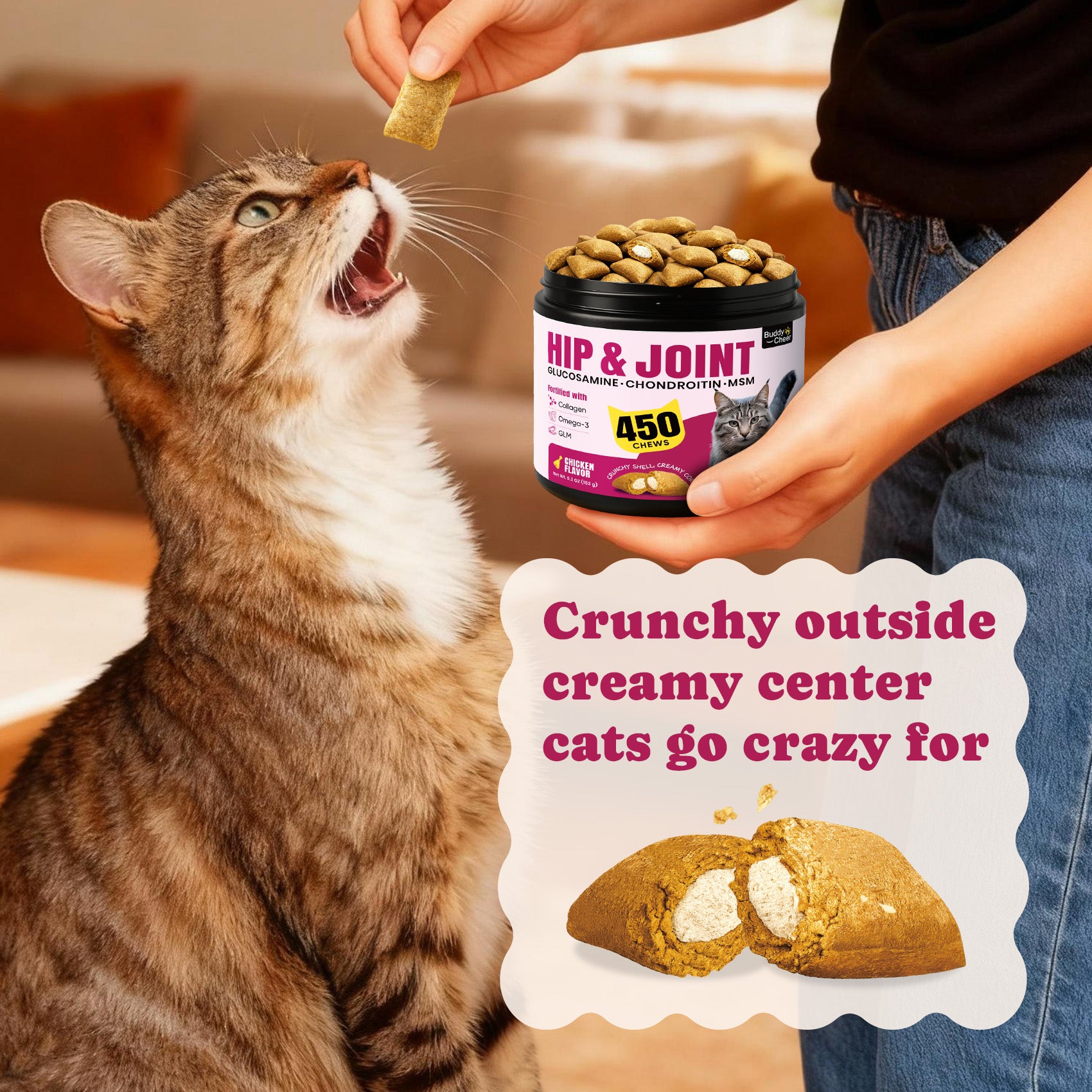 Green Lipped Mussel Cat Joint Support