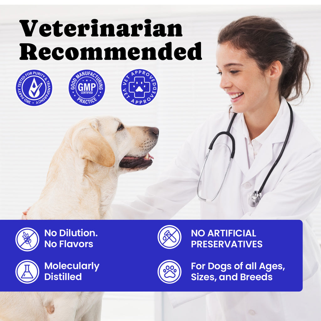 Daily Wellness Salmon Oil Liquid Supplement Pets