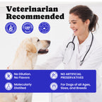 Daily Wellness Salmon Oil Liquid Supplement Pets