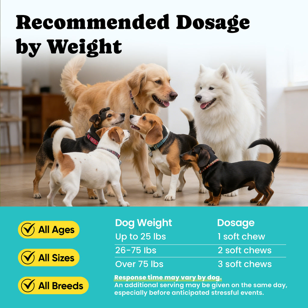 Daily Calming Chews Dogs Relaxation Support