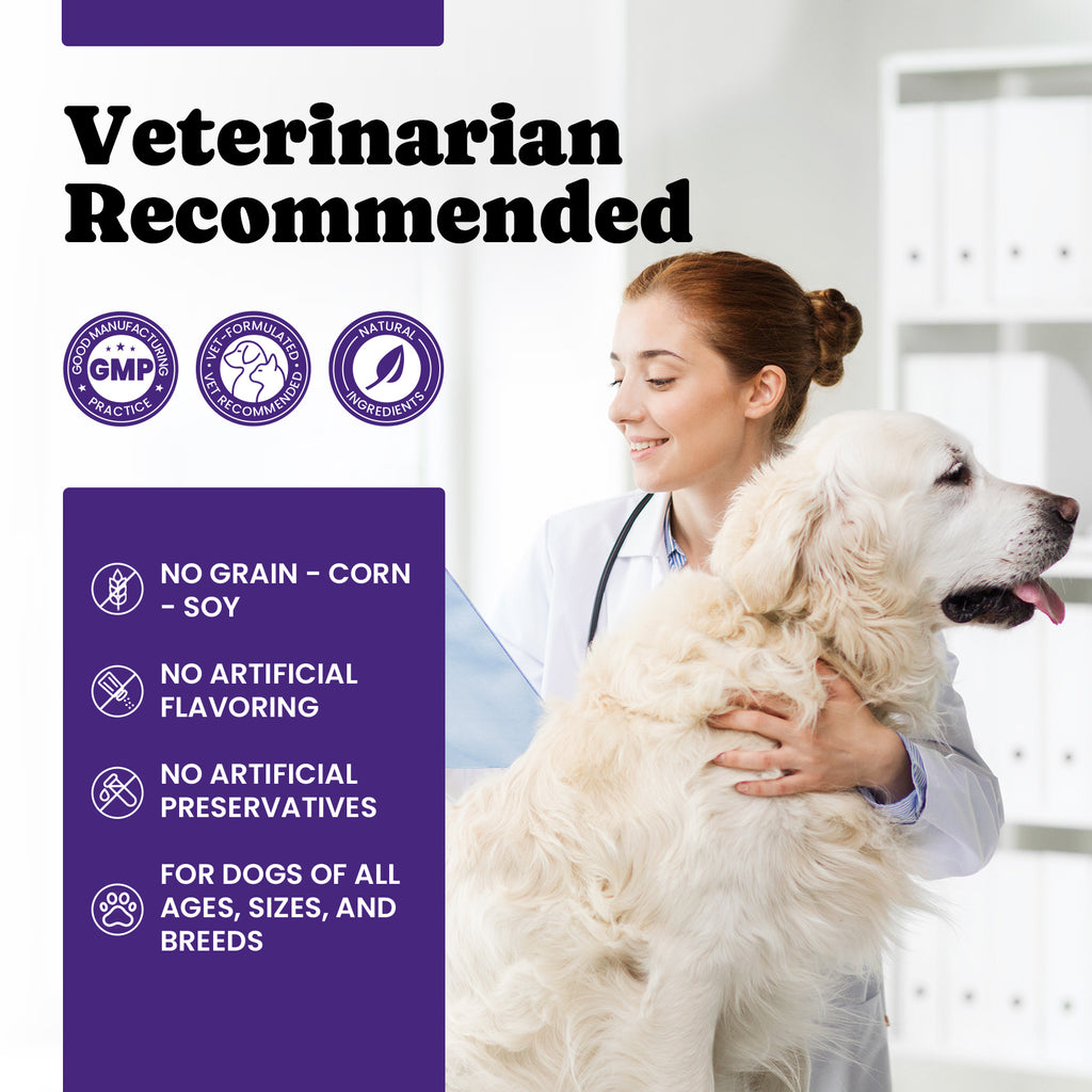 BuddyCheer Dog Allergy Skin Relief Soft Chews