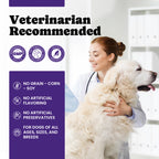 BuddyCheer Dog Allergy Skin Relief Soft Chews