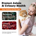 Cat Multivitamins Treats with L-Lysine & Taurine – 12 Vitamins & 5 Minerals - 450 Ct